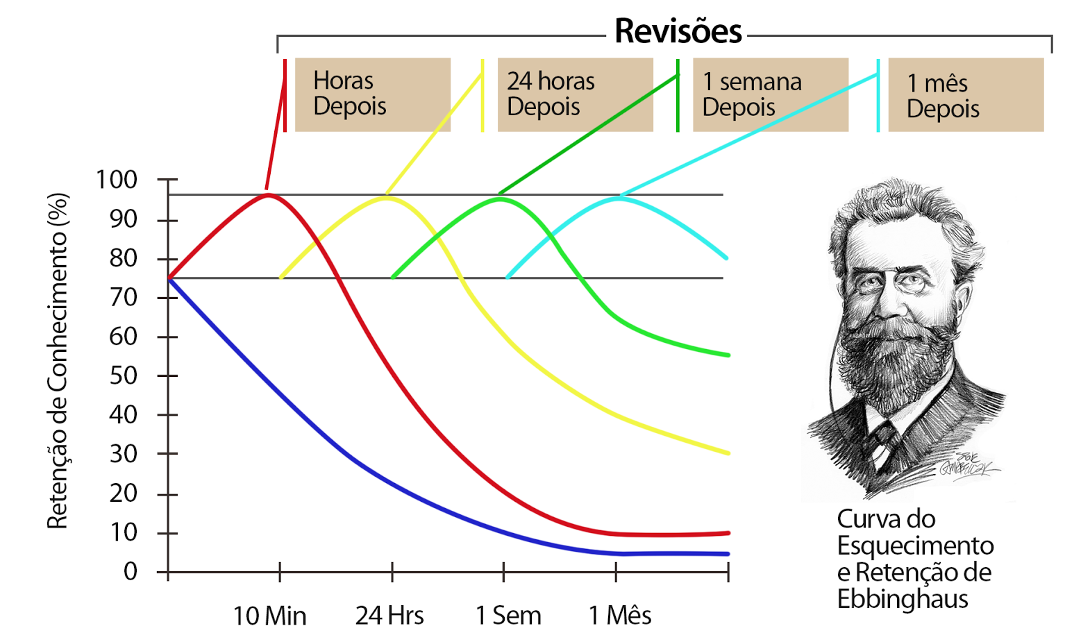 Curva de esquecimento e retenção
